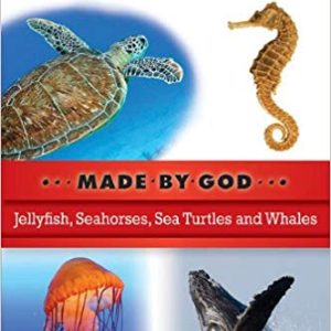 Made By God - Sea Creatures (I Can Read Made by God